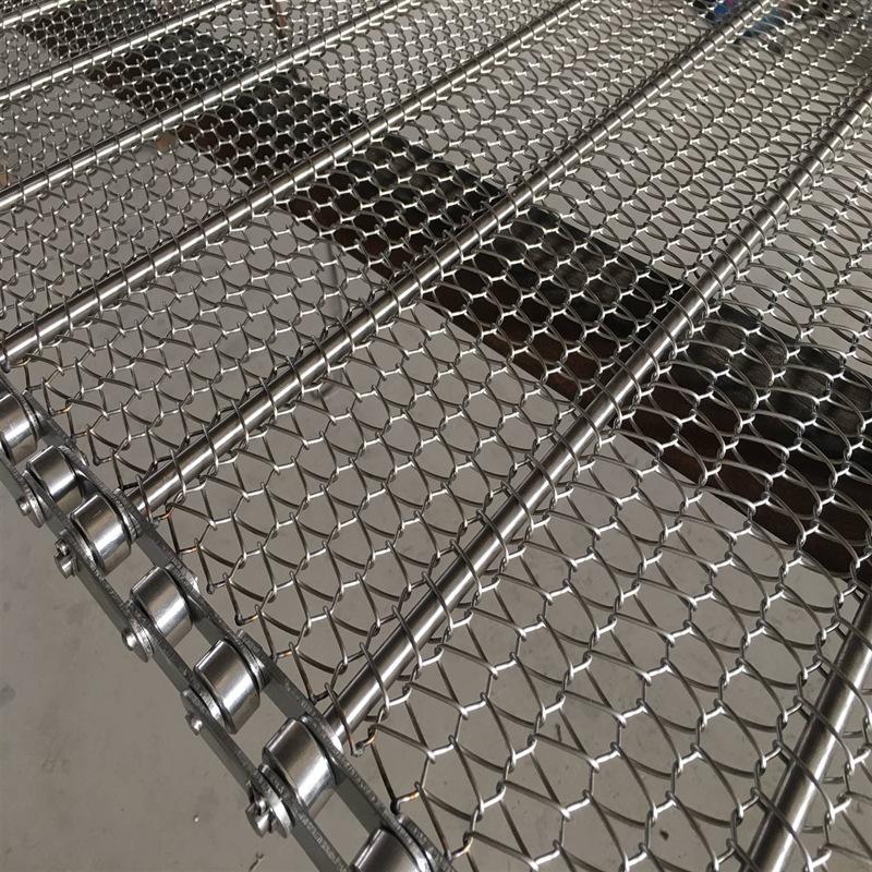 链条式网带输送带 (2)