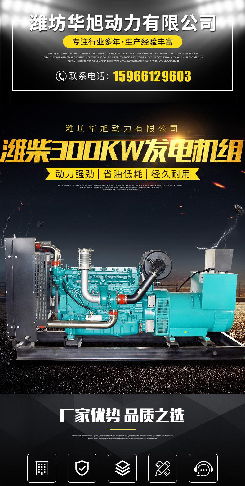 潍柴300KW发电机组详情_01