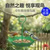 Comedero para pájaros en forma de paraguas, comedero colgante para pájaros, bebedero para pájaros, estanque o dispensador de agua adecuado para decoración de jardín al aire libre