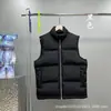 Chaqueta de plumón tipo chaleco Amy con forma de corazón de alta gama Putian para hombre y mujer, chaleco sin mangas, chaqueta acolchada, prenda exterior para parejas