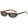 Gafas de sol retro estilo europeo y americano, de montura pequeña ovalada tipo ojo de gato, de moda y favorecedoras para rostros cuadrados y redondos, gafas de sol versátiles para mujer