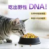 Ração Mista Liofilizada de Carne Fresca para Gatos Adultos e Filhotes, de Preço Integral, para Todas as Fases, Fabricada pela Sai Lang, Adequada para Gatos Seletivos, Disponível para Dropshipping