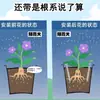 Nuevo Tipo de Tubo de Ventilación para Tierra de Maceta, Tubo Transpirable para Prevenir la Pudrición de Raíces, Herramienta Mágica para Ventilación de Tierra de Maceta, Base Extendida de Maceta, Tubo de Fertilización para Flores