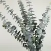 Folha de eucalipto de 5 pontas impressa em 3D, arranjo de plantas folha verde de dinheiro decoração floral, planta verde artificial transfronteiriça