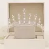 Diadema Corona de Novia Tocado Boda Estilo Coreano Cumpleaños 18 Regalo Adulto Corona de Cristal Accesorios para el Cabello Vestido de Princesa