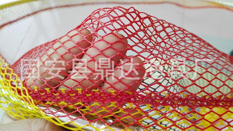 彩网头1