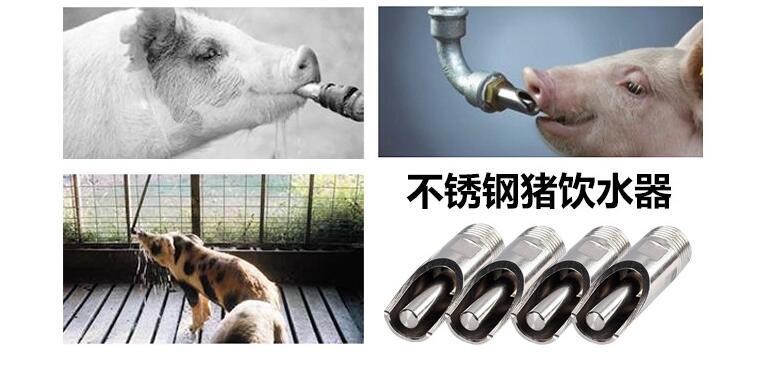 QQ截图20180106114729