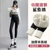 Pantalones de Tiburón para Mujer, Estilo Primavera y Otoño, Leggings Sin Costuras, Cintura Alta, Adelgazantes, Levantamiento de Glúteos, Pantalones de Yoga, Pantalones Cortos de Seguridad para Fitness