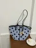 Bolso Femenino de Moda Transfronterizo 2026 Nuevo Primavera/Verano Exquisito Ultra-Popular de Gama Alta para Hombro/Axila Tote