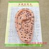 Fengfan Calcomanía de Punto Auricular Masaje Modelo de Oreja Paquete Punto de Acupuntura Auricular Bolígrafo Sonda de Cobre Calcomanía para Oreja Calcomanía para Oreja Semilla de Presión para Acupuntura