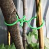 Jardinería Transfronteriza Hebilla en Forma de 8 Vid Trepadora Tomate Hebilla Correa de Amarre Hebilla en Forma de 8 Hebilla Fija para Plantas Círculo de Calabaza Combinación de Jardín