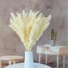 Amazon transfronterizo caña pequeña flor seca decoración de fiesta para sala de estar accesorios para fotos pampas fábrica en stock venta al por mayor