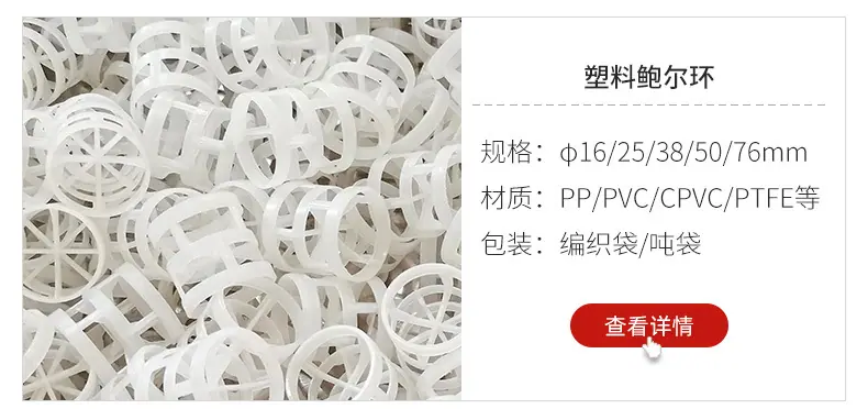 鲍尔环2_03.jpg