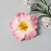 Novo Modelo 2025 Presilha de Cabelo Flor de Hibisco para Mulheres, Presilha Lateral para Atmosfera de Foto na Praia, Acessório de Cabelo Lateral Bico de Pato, Presilha de Cabelo Flor