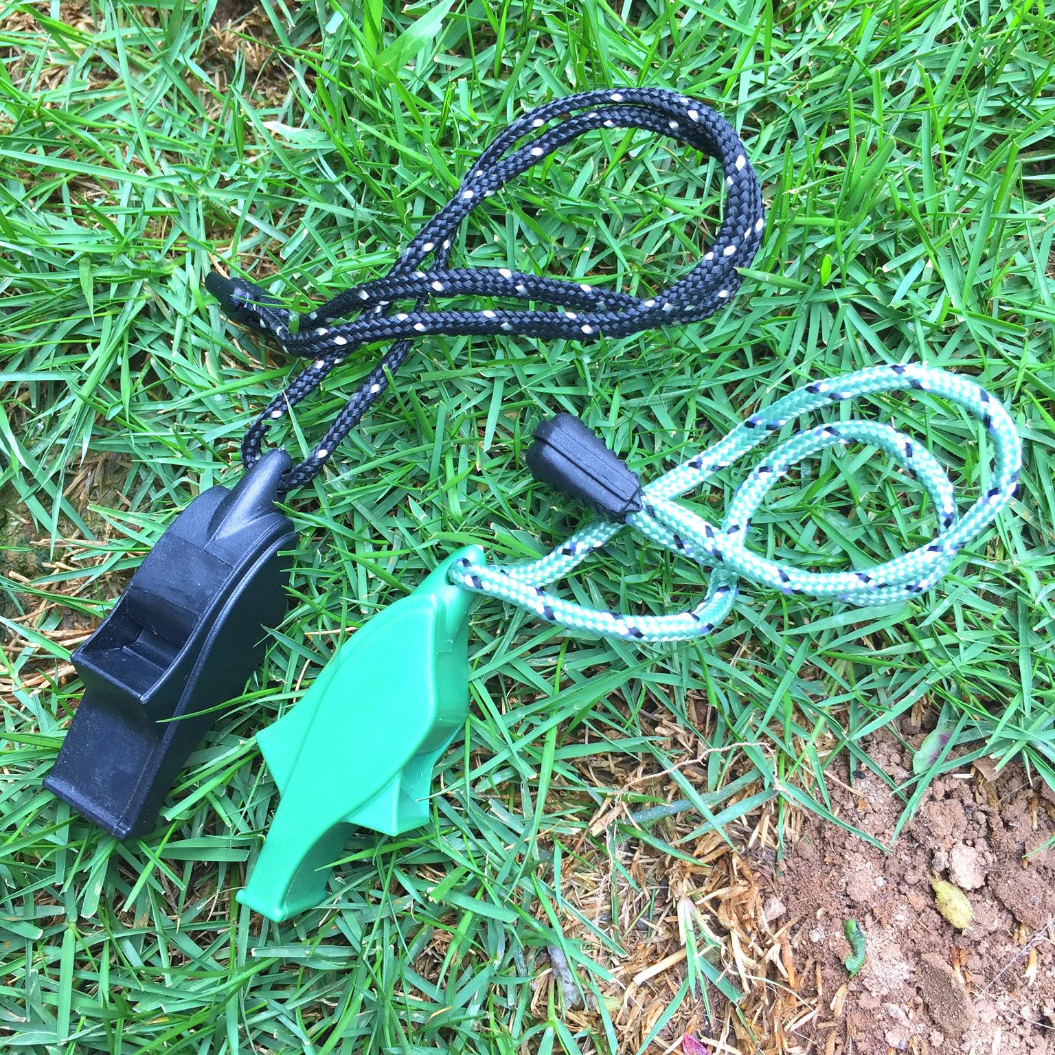 照片 039_看图王