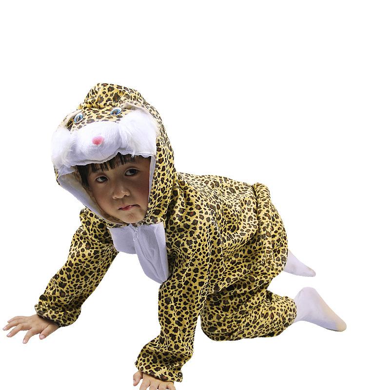 花猫.jpg