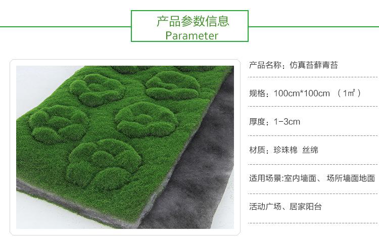 鼓包草坪 青苔草坪