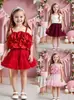 Mercadorias de Comércio Exterior Transfronteiriço Conjunto Original de Verão para Meninas com Top Halter Floral 3D e Saia Tutu Conjunto de Duas Peças, Conjunto de Vestido Princesa em Renda