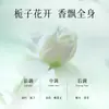 Zhenshi Gardenia Blanca Champú, Acondicionador, Gel de Ducha, Loción Hidratante, Set Conveniente para Viaje y Viaje de Negocios para Lavado y Cuidado al por Mayor