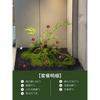 Planta Verde Simulada Paisajismo Helecho Cabeza de Mono Seda Dorada De Pie Planta Biónica China Decoraciones de Paisaje Interior Adornos Plantas Falsas en Maceta