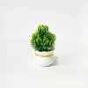 Planta verde simulada de 5 galhos, mini planta em vaso para decoração de sala de estar, entrada de casa, ornamento de flor artificial, pequeno bonsai artificial que realça o ambiente