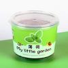 Pequeños Regalos para Niños, Desarrollo del Interés de los Estudiantes, Siembra de Frijolitos Pequeños en Cubos DIY, Plantas en Maceta, Adornos de Escritorio, Mini Bonsái de Plantas Verdes