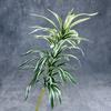 Simulación Lirio Bambú Decoración Hogar Hotel Plantas Tropicales Adornos Bambú Rico Hojas de Tela Venta al por Mayor