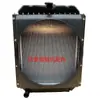 Tanque de Agua para Excavadora Cargadora 4102 4105 Motor Motor Diésel Radiador Enfriador de Aceite del Motor 4105 Tanque de Agua