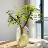 Ligustro de Hojas Pequeñas Famoso en InternetDecoración de Planta Verde Hidropónica Cortada Fresca para Uso en Interiores, Fácil de Mantener Todo el Año, Adecuado para Salas de Té