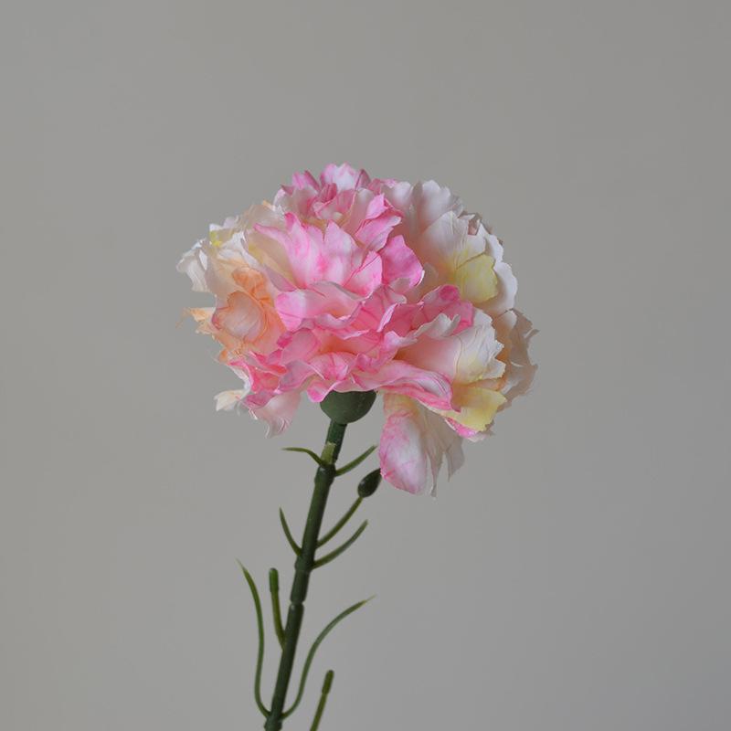 DSC_0896.jpg