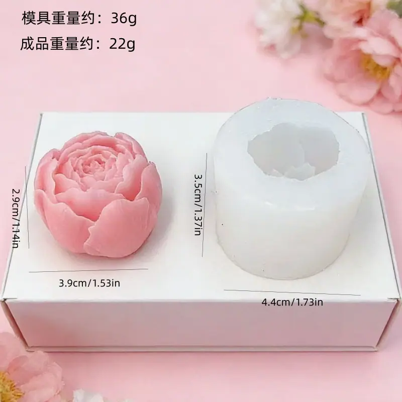 微信图片_20260223172446_20_19_副本