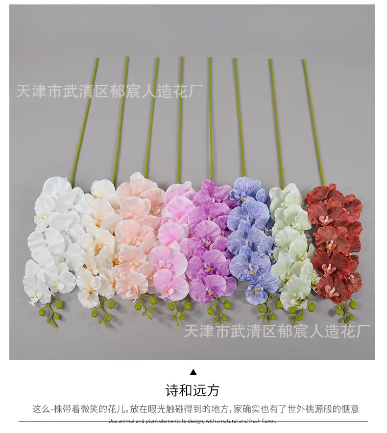 详情_06.png