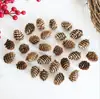 Atacado de Fábrica de Pinhas Ornamentais de Vários Tamanhos 1-18cm, Pinhas de Flores Secas, Pinhas Oleadas com Hastes para Decorações de Natal