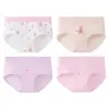 Roupa Íntima Infantil para Meninas, Cuecas Boxer de Algodão Puro Antibacteriano Classe A no Atacado, Calcinhas Infantis, Calcinhas Triângulo para Crianças Pequenas, Cuecas Boxer Infantis Tamanho Médio e Grande