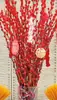 Flores Secas de Sauce Plateado Atractoras de Fortuna, Flores Reales, Ramas Frescas, Plantas Hidropónicas, Sauce Plateado Rojo, Flores de Año Nuevo, Cubo de Fortuna, Decoración Interior para Sala de Estar