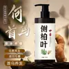 Shampoo Folha de Platycladus Herbáceo Óleo de Gengibre Planta Controle de Oleosidade Shampoo de Aminoácidos Cuidados com a Pele Marca Chinesa
