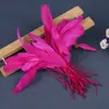 Plumas de Cola de Pollo de Colores Desprendibles Plumas de Pollo Adornos Hechos a Mano para Manualidades Plumas Duras Flotantes Desprendibles Decoración para Sombreros Vestidos Accesorios de Manualidades