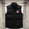 Chaleco de Plumas de Ganso Otoño e Invierno Nuevo Engrosado de Moda Casual sin Mangas Chaqueta de Plumas Chaleco Térmico de Plumas de Pato para Hombres y Mujeres
