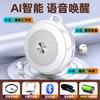 Alto-falante portátil Classe de professores Fone de ouvido Bluetooth sem fio Alto-falante Vender pequeno guia turístico Microfone Player
