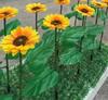 Comercio electrónico transfronterizo Iluminación exterior Zhongshan luces solares LED de girasol luces escénicas de patio luces de luciérnaga luces de caña