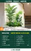 Decoração de Combinação de Paisagem de Plantas Verdes Plantas Artificiais Arranjo de Exibição de Janela de Pátio Cenário de Paisagem Interna Árvore de Atmosfera