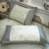 2026 Nuevo Juego de Dos Fundas de Almohada de Ratán Hielo de Verano para Adultos, Funda de Núcleo de Almohada Refrigerante de Seda de Hielo, Funda de Almohada Refrigerante Individual de Verano