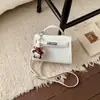 Bolso de Mano Texturizado de Nicho Estilo Francés 2025 Nuevo Bolso para Mujer Moda Bolso Cruzado Simple Cuadrado Pequeño Casual de Moda