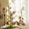 Ins dispositivo creativo para cultivo de flores de agua de pequeño calibre dispositivo esférico para arreglos florales nicho bola de burbuja de vidrio de color Decoración de jarrón