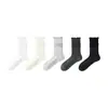 Calcetines con Volantes de Encaje para Mujer, a Media Pantorrilla, Estilo Fino de Verano, Estilo Ballet, Adecuados para Combinar con Zapatos Pequeños de Cuero, Calcetines Largos Sin Costuras JK para Maternidad, Hechos a Medida