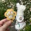 Venta Caliente Transfronteriza Nuevo Llavero de PU Colgante Conmemorativo de Pelo de Mascota Adorno de Foto de Gato Perro Bolso Colgante Creativo
