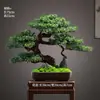Novo Bonsai Artificial Estilo Chinês Inspirado em Zen Pinheiro Acolhedor e Pinheiro Arhat para Decoração de Escritório, Sala de Estar e Hall de Entrada