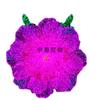 Lâmpada LED Fashion e Requintada em Formato de Veado Borboleta Árvore Flor Estéreo Florescendo Padrão Forma