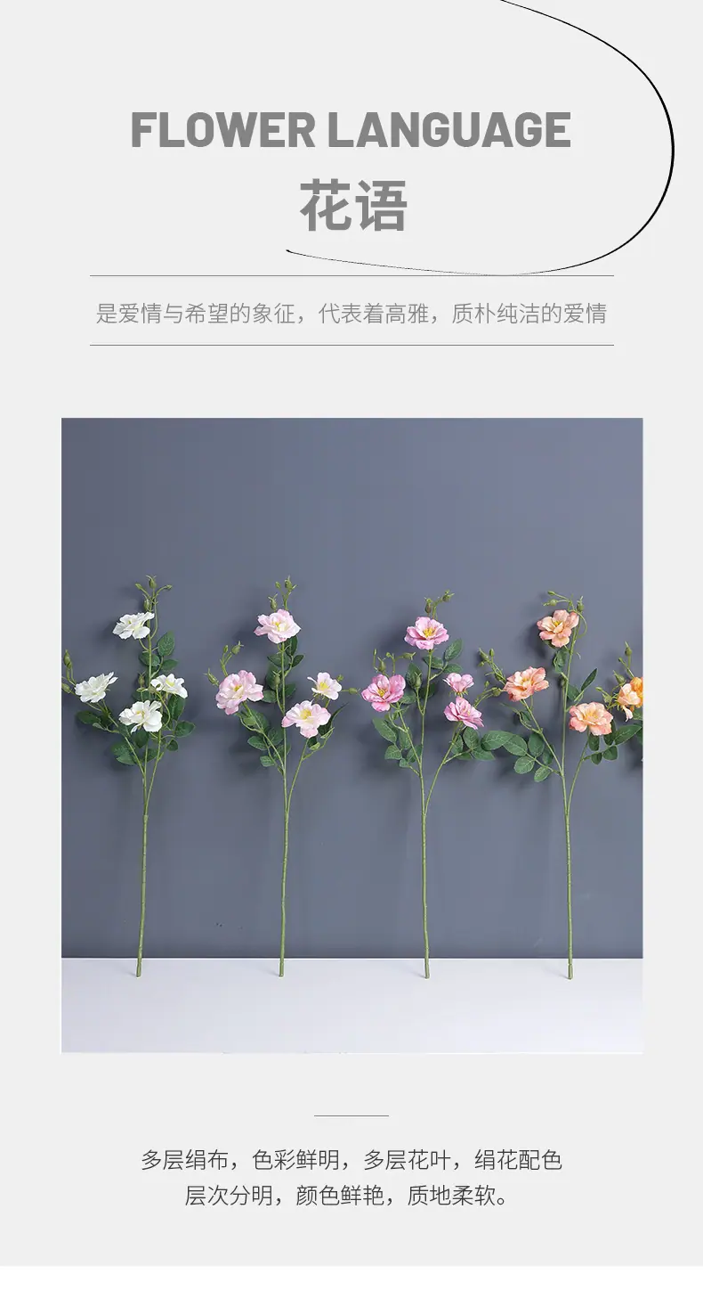 春野单枝小蔷薇_02.jpg