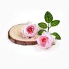 Flores Artificiais, Flores Simuladas, Materiais DIY, Cabeças de Rosa, Decoração de Cena de Casamento, Botões de Camélia Retrô em Estilo Europeu, Acessórios para Caixa de Presente